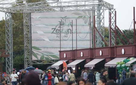 Yağışlı havaya baxmayaraq, Zeytun Festivalı davam edir (FOTO)