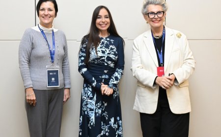 Leyla Əliyeva UNESCO-nun Baş direktorunun müavini ilə görüşüb